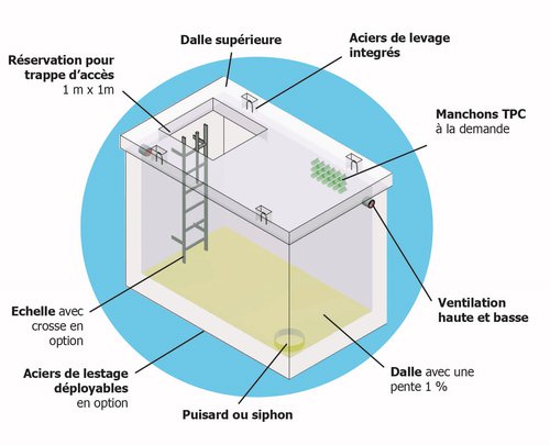 schema